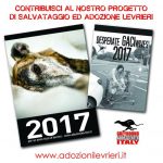 Calendari GACI 2017