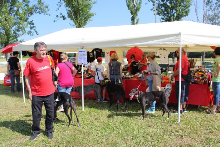 18738443_899483570189774_8704749320913332664_o