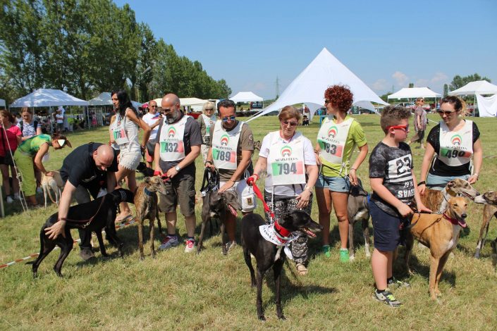 18766633_899485613522903_5385684466559939155_o