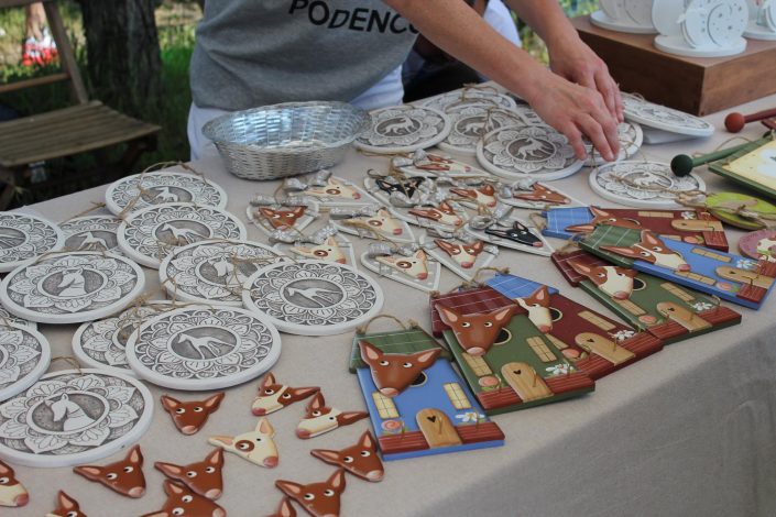 18766833_899480060190125_6333532624373536237_o