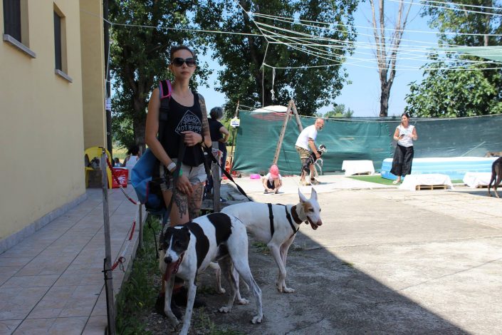 18768279_899482286856569_7094392277002409757_o