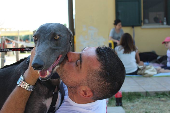 18768403_899475646857233_3906904719794767382_o