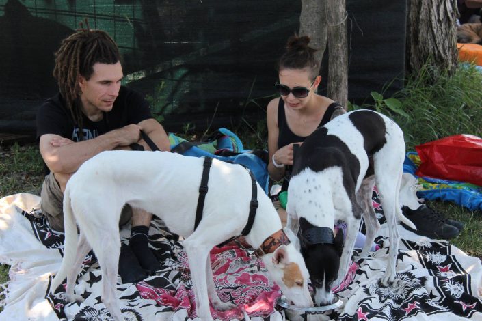 18814691_899481040190027_862037637019520596_o