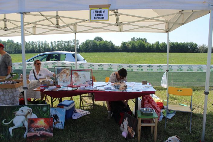 18814728_899480346856763_8144445342285149378_o