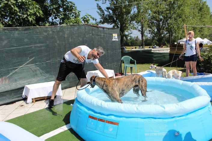 18814731_899482033523261_6474877175105224100_o