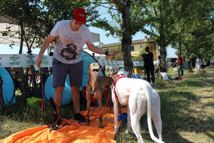 18815076_899483646856433_8263079411686422400_o