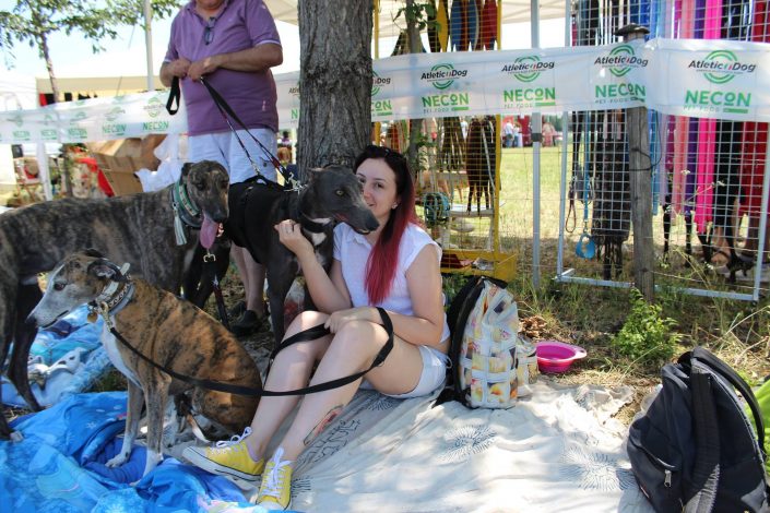 18815211_899480930190038_2569696096683728636_o