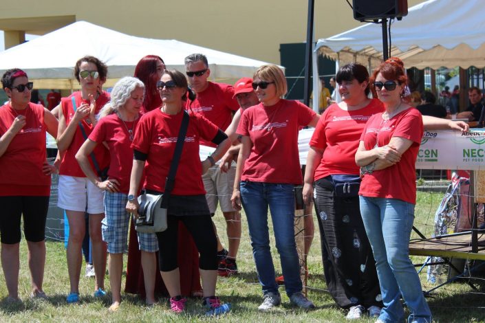 18815270_899480780190053_8274816442995497499_o