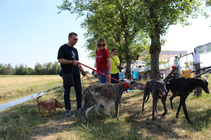 18815340_899477893523675_6502266253505901518_o