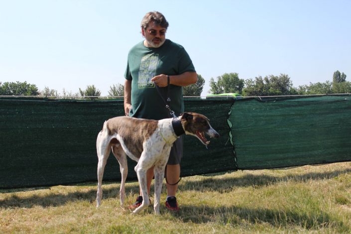 18815423_899477546857043_1933136031131082952_o