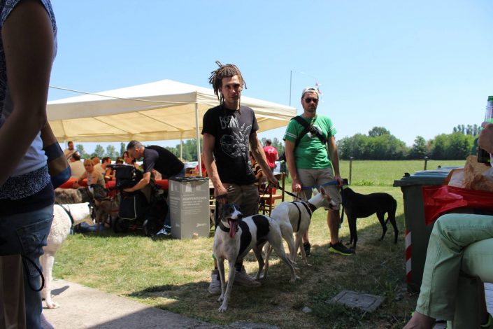 18815441_899475770190554_2768653014848585491_o