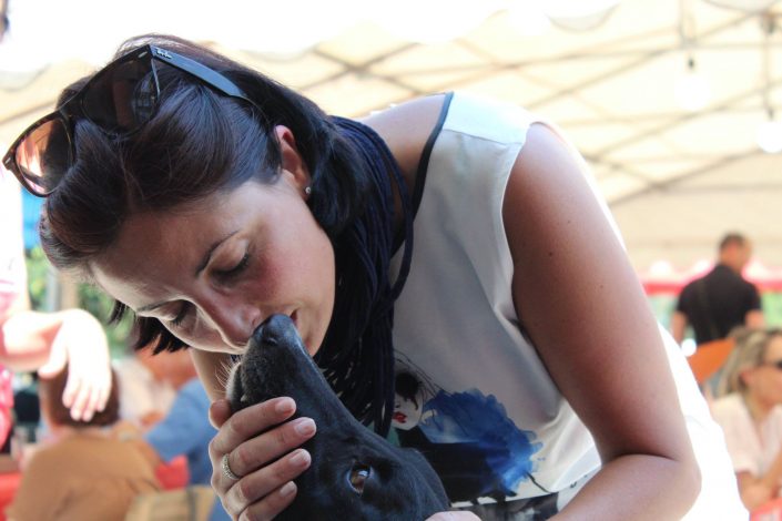 18815464_899473976857400_52529659081275810_o