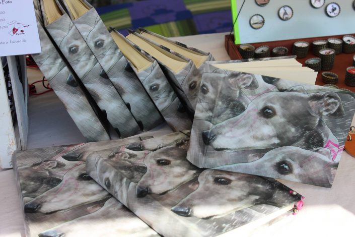 18815466_899474730190658_4463089623299257373_o