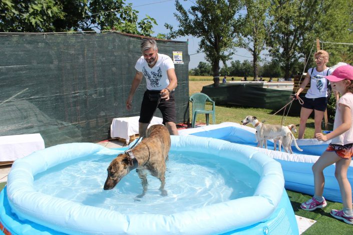 18836652_899480593523405_8977359545021429462_o