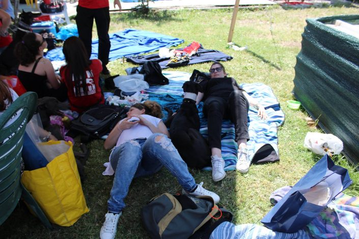 18836757_899479273523537_9150578291773292913_o