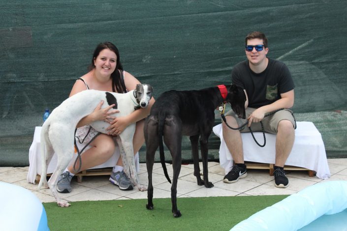 18836780_899481813523283_898362013356759994_o