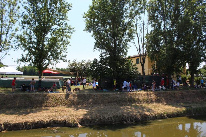 18836795_899485516856246_5161427084893034072_o