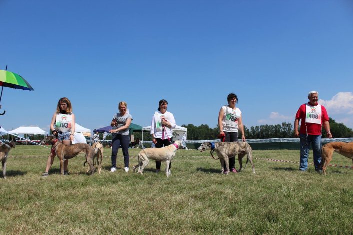 18836803_899482913523173_4800928912622030393_o