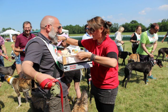 18836807_899479843523480_252469413734733776_o