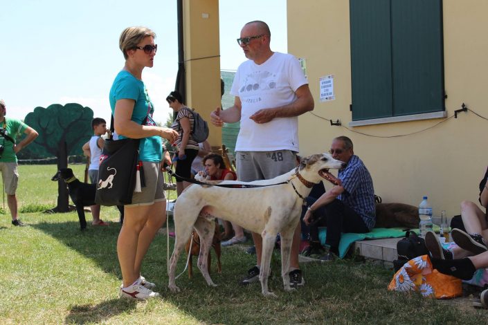 18836831_899478493523615_6559796041131532047_o