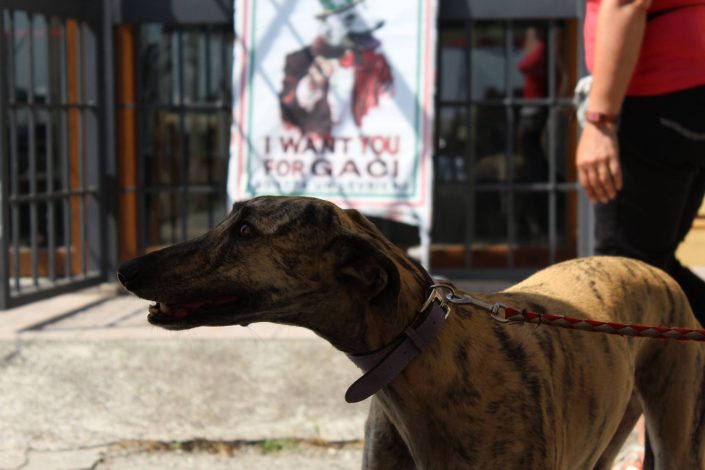 18836879_899473833524081_9011645875423194299_o