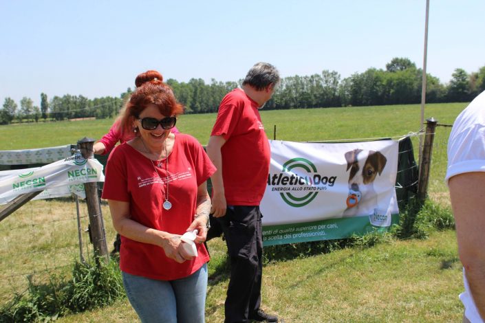 18836879_899475596857238_7471025741409305156_o