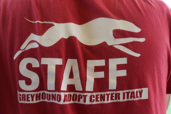 18836917_899483956856402_5803139815591720897_o