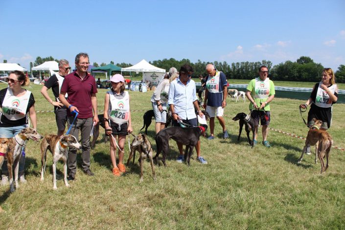 18836924_899486053522859_3925090367987985539_o