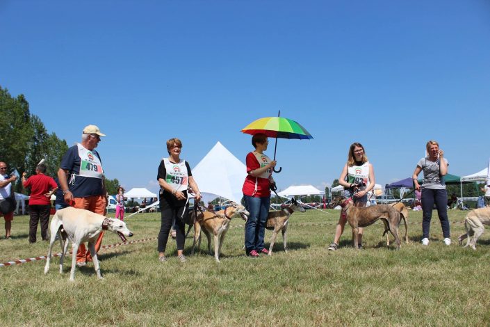 18836945_899482546856543_5551372163410472389_o