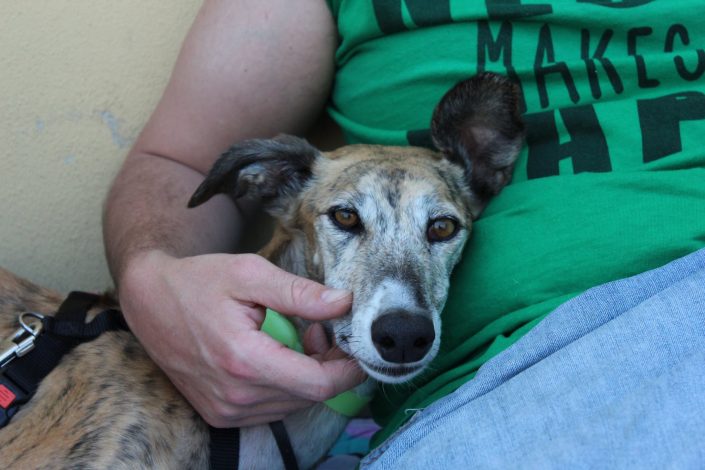 18836980_899481056856692_6380489339072704553_o