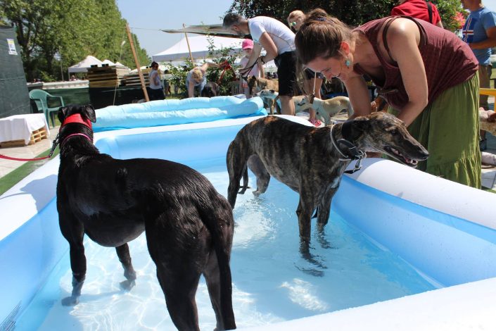 18837077_899478120190319_3035197859231276183_o