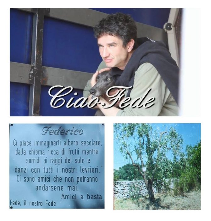 18839048_899570286847769_6106407066746552753_n