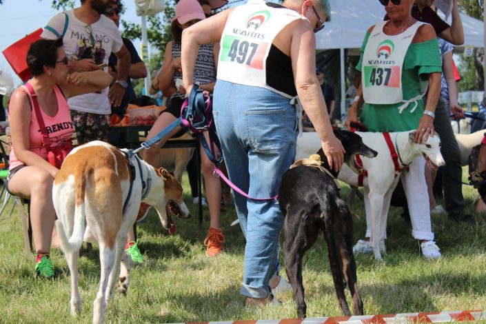 18839399_899483063523158_4974062447608369791_o