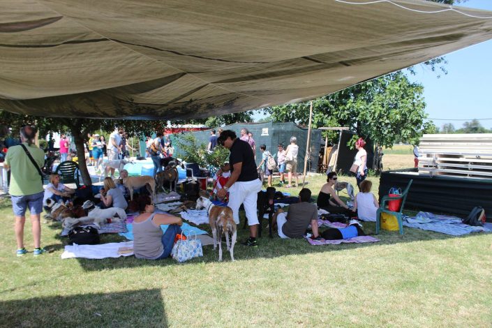 18839416_899483760189755_1063941694040740100_o