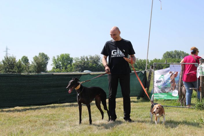 18839431_899480323523432_4796172646378137284_o