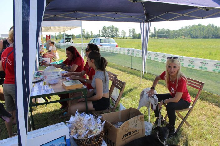 18839469_899480560190075_4343193658683293714_o