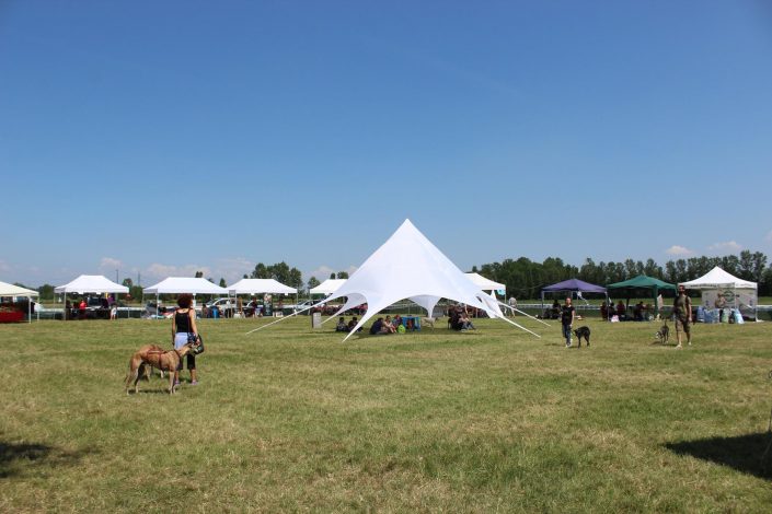 18839476_899481230190008_5964712240608320722_o