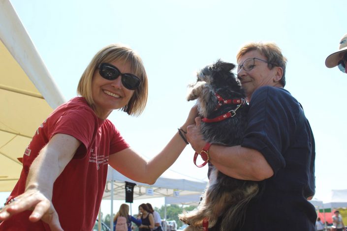 18839578_899473560190775_5543423239512162082_o