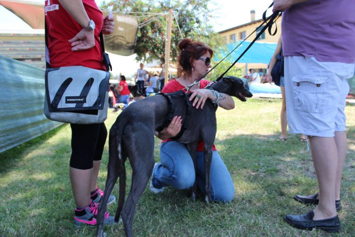 18839601_899478660190265_8949126981245669868_o