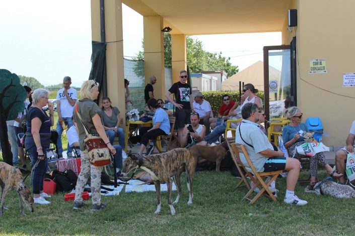 18839610_899481286856669_4386008418427449973_o