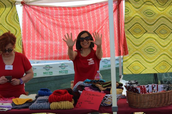 18839620_899480180190113_4073853480919482084_o