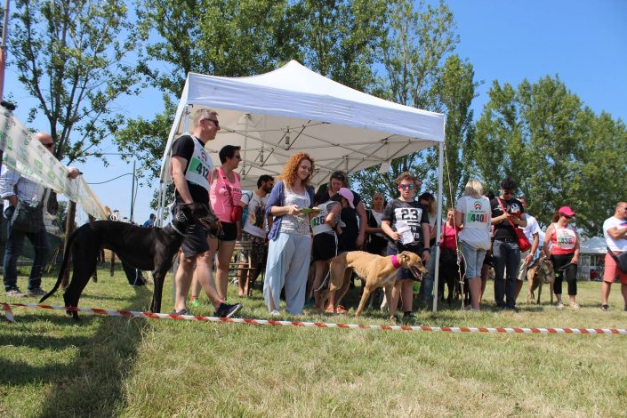 18839623_899486386856159_8657214670951083043_o