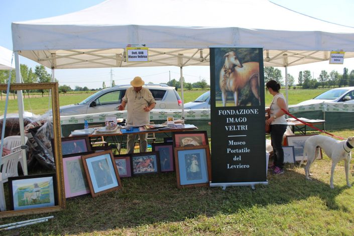 18839655_899480110190120_7406294417256568346_o