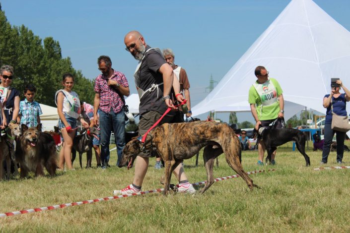 18839666_899481316856666_6561371054204095869_o