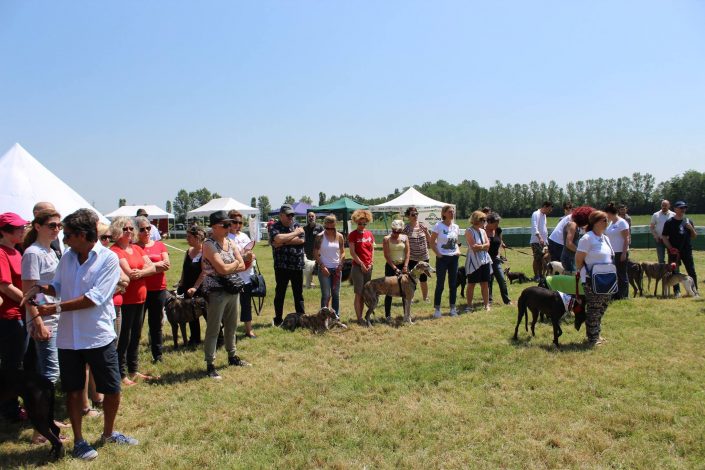 18839705_899482176856580_5659075700743531171_o