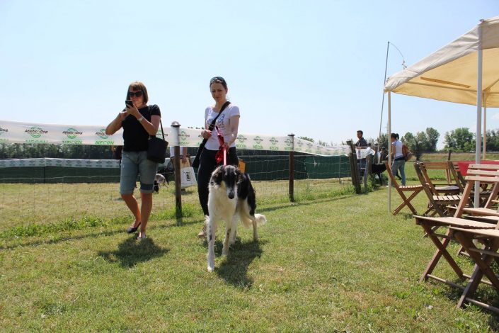 18839779_899483853523079_6512781694153315399_o