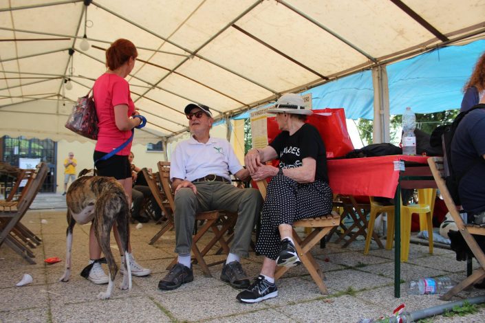 18839802_899479986856799_2179093025074846419_o