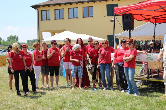 18839818_899482096856588_4501431846295502225_o