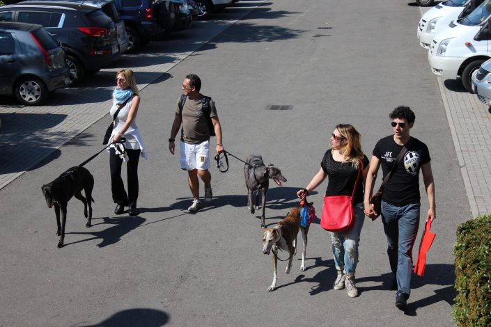 18839826_899481876856610_8740347306066832581_o