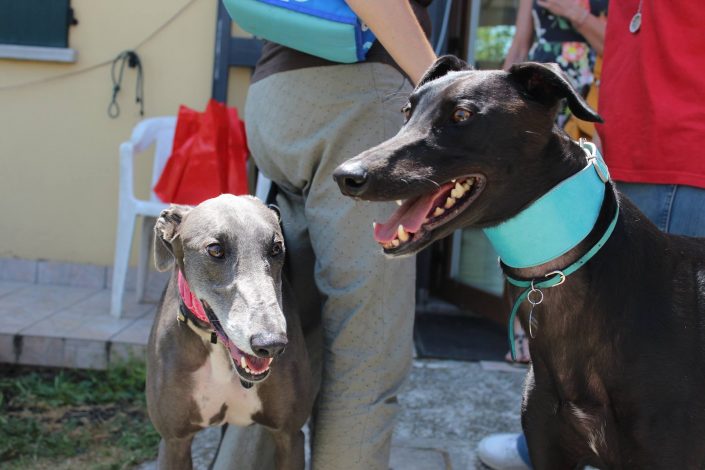 18879861_899475956857202_1581309425502346455_o